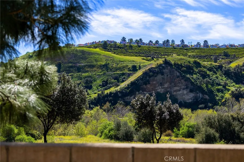 23330 Dover, Yorba Linda, California 92887 home-pic-28