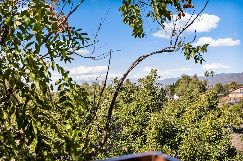 1365 Crafton Avenue, Mentone, California 92359 home-pic-22