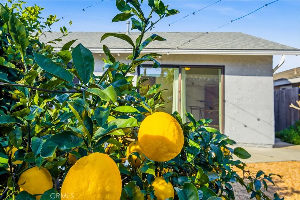 Lemon and lime trees bring a classic Southern California touch.