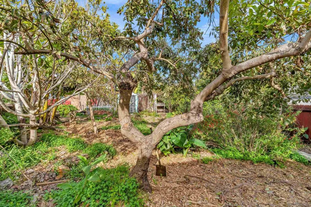 1527 Galveston St, San Diego, California 92110 home-pic-26