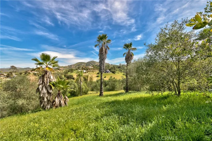 1175 Riverview, Fallbrook, California 92028