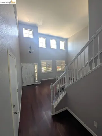 foyer featuring dark wood finished floors, a high ceiling, and healthy amount of natural light