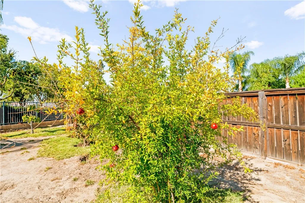 1721 Caseros, San Jacinto, California 92582 home-pic-18