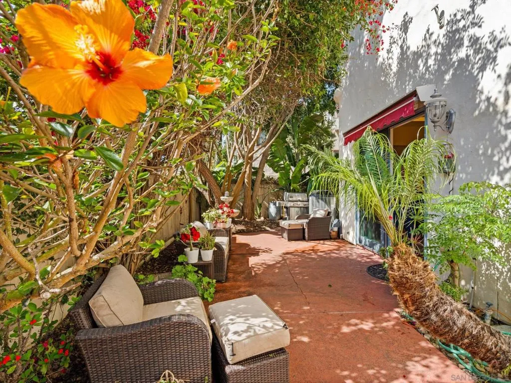 7337 Draper Ave, La Jolla, California 92037 home-pic-25