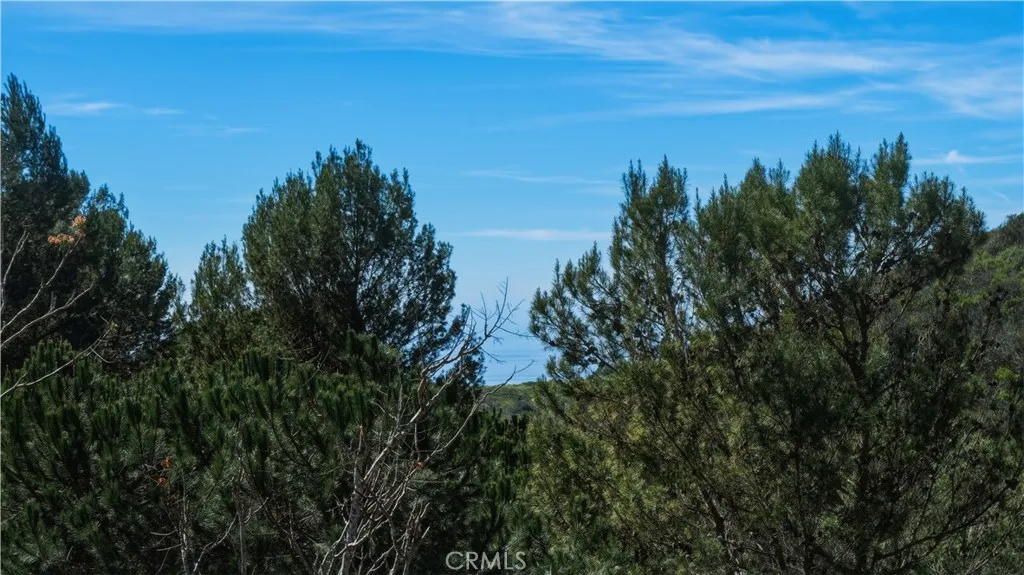 1 Dolomiti, Newport Coast, California 92657 home-pic-22