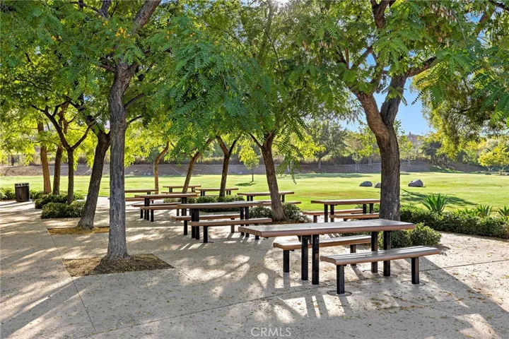 Community Park