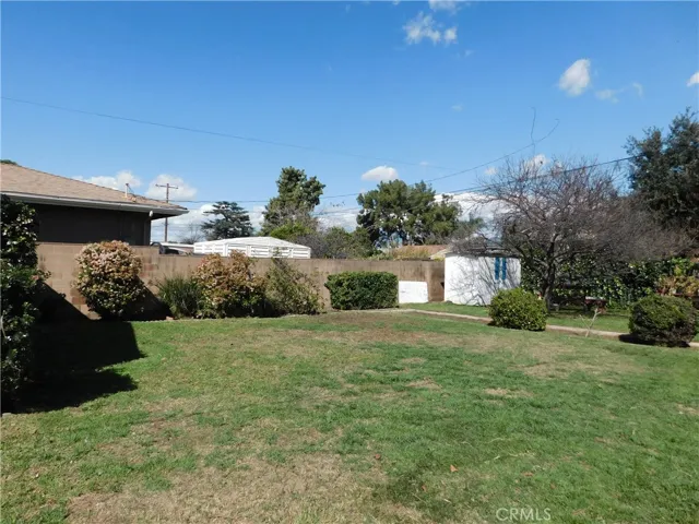 Large Backyard