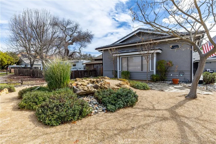 Low maintenance Attractive drought tolerant landscaping