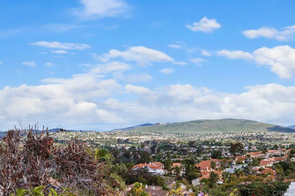 1402 Village View Road, Encinitas, California 92024 home-pic-1