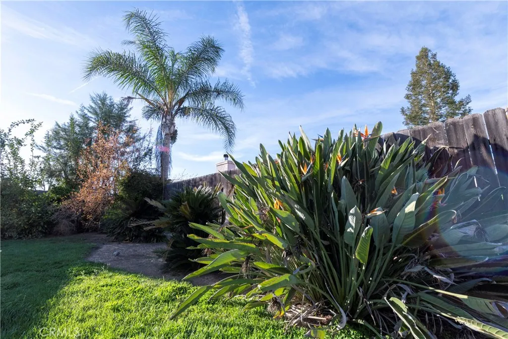 4514 W Oswego, Fresno, California 93722 home-pic-27
