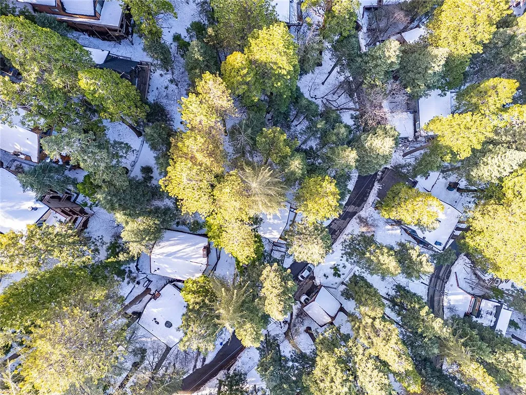 28349 Larchmont, Lake Arrowhead, California 92352 home-pic-30