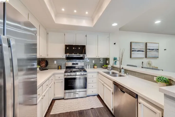 Kitchen with stainless steel appliances, a tray ceiling, white cabinetry, recessed lighting, and dark wood-style flooring