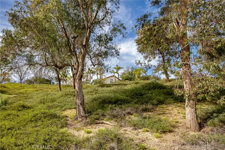 24910 Chicory Court, Stevenson Ranch, California 91381