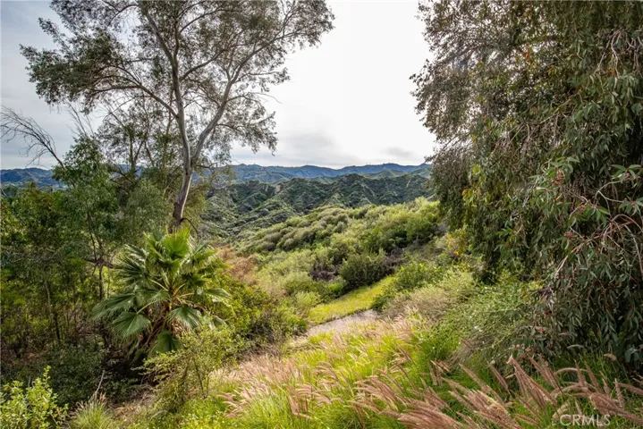 24910 Chicory Court, Stevenson Ranch, California 91381