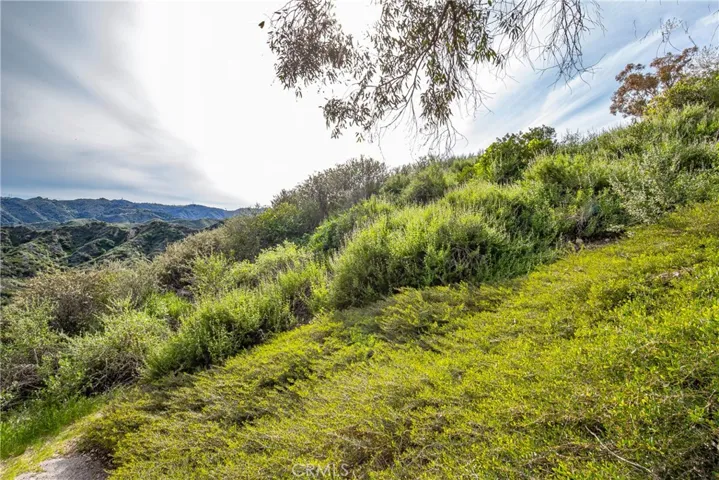 24910 Chicory Court, Stevenson Ranch, California 91381
