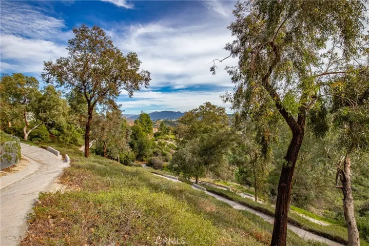 24910 Chicory Court, Stevenson Ranch, California 91381