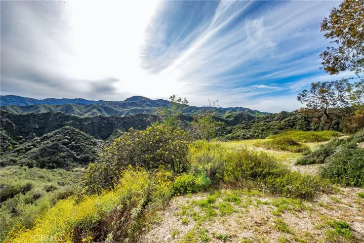 24910 Chicory Court, Stevenson Ranch, California 91381