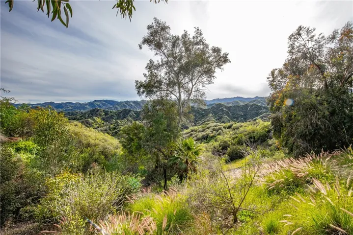 24910 Chicory Court, Stevenson Ranch, California 91381