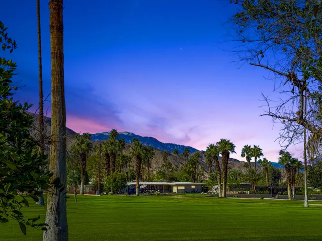 BurroweedLn46335#39-1