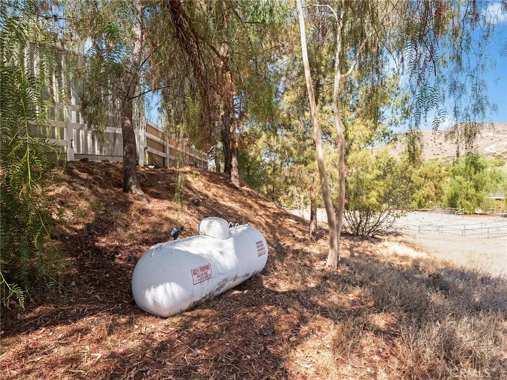 33320 Kingbird Way, Acton, California 93510 home-pic-30