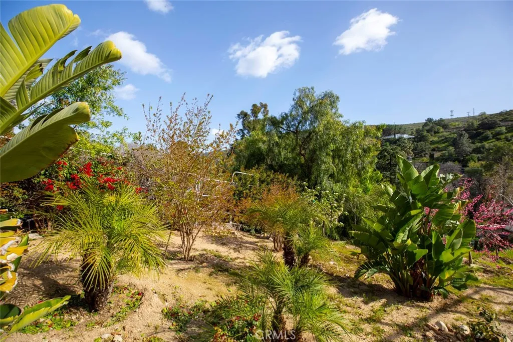 9336 Wayside Drive, Sunland, California 91040 home-pic-22
