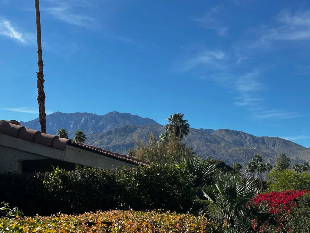 2466 E Oakcrest Drive, Palm Springs, California 92264 home-pic-19