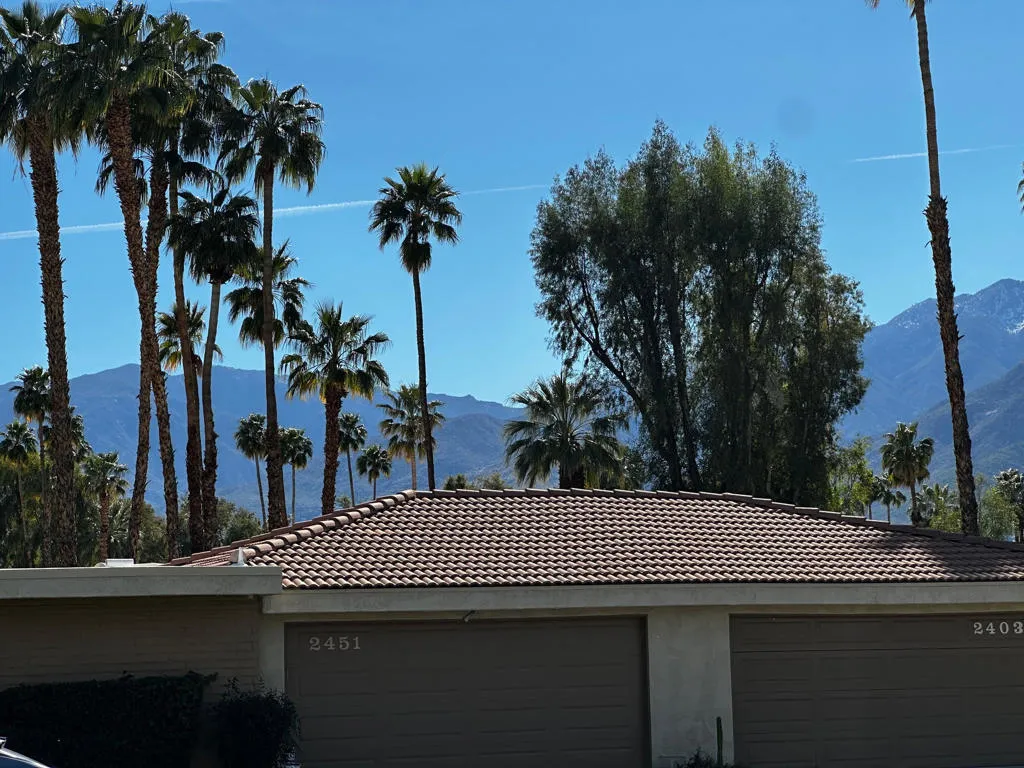 2466 E Oakcrest Drive, Palm Springs, California 92264 home-pic-20