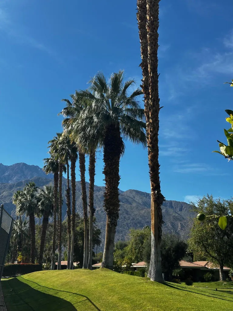 2466 E Oakcrest Drive, Palm Springs, California 92264 home-pic-25