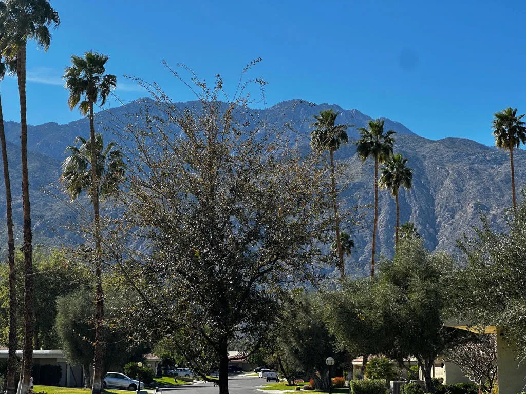 2466 E Oakcrest Drive, Palm Springs, California 92264 home-pic-21