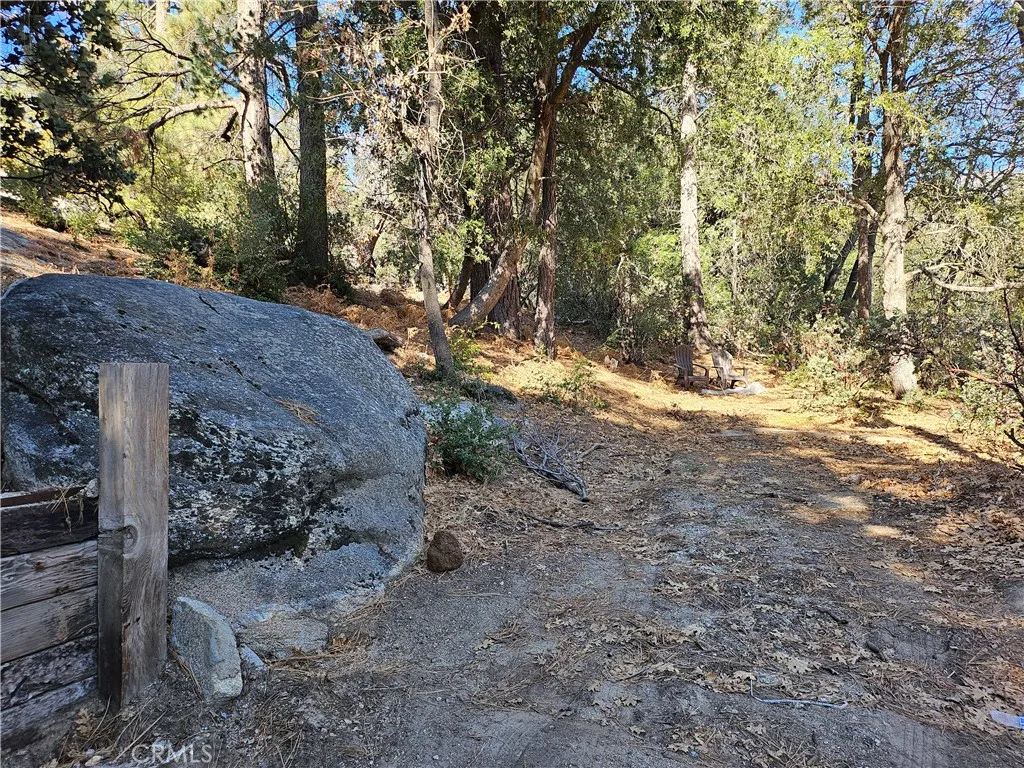53150 Mountain View, Idyllwild, California 92549 home-pic-11