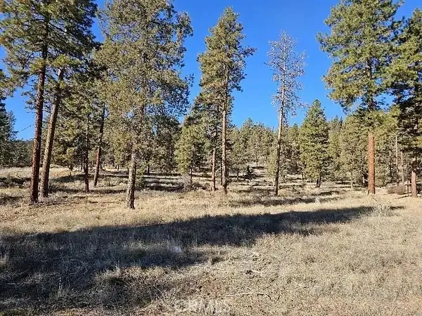 Some trees are on the land.