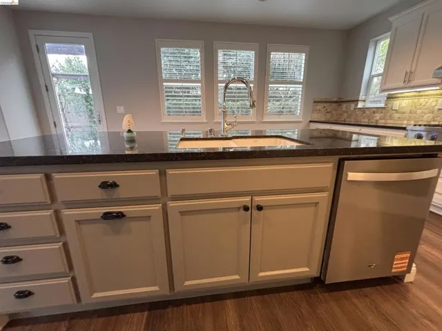 Kitchen with stainless steel dishwasher, dark wood finished floors, dark stone counters, tasteful backsplash, and plenty of natural light