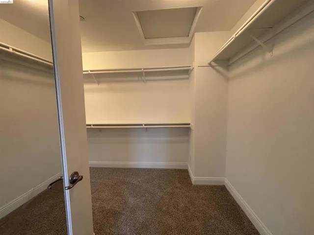 Walk in closet featuring attic access and dark colored carpet