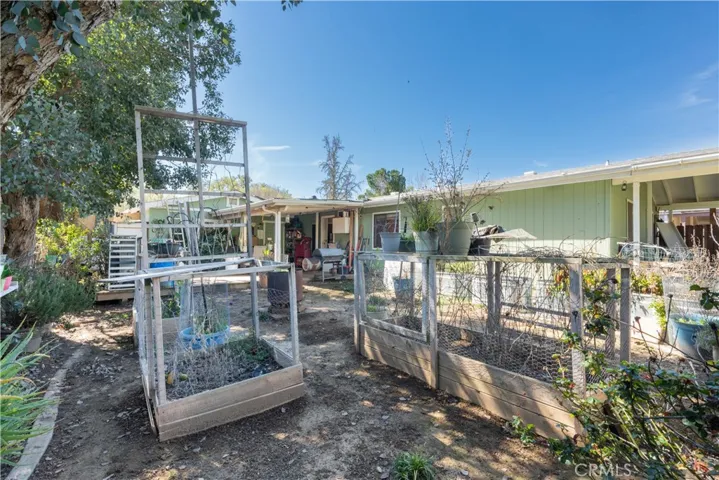Backyard with garden boxes