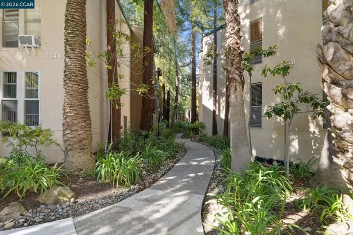 WONDERFUL PATHWAYS THROUGHOUT
