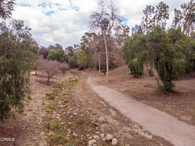 TRAIL