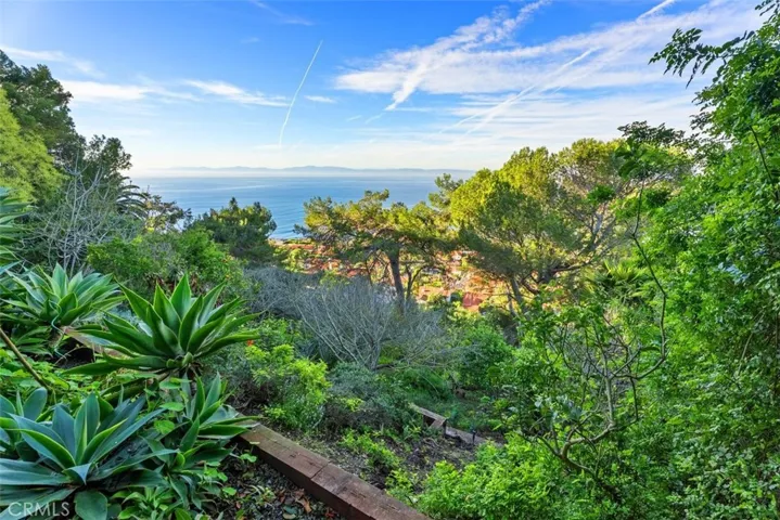 Backyard with multiple fruit trees