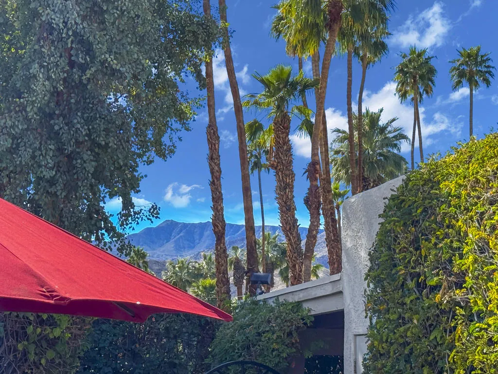 73216 Tumbleweed Lane B, Rancho Mirage, California 92270 home-pic-3