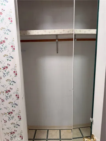 extra main closet in bathroom