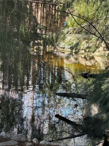 Gorgeous land scape, Koi Pone, stream right behind home..you can hear stream from the back yard