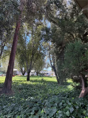 Incredible landscape throughout the park