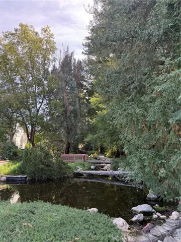beautiful Koi Pond and stream right behind home