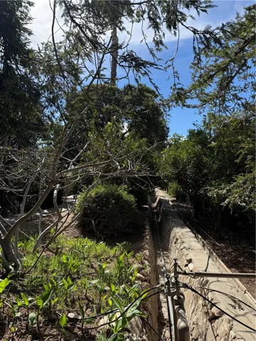 Lush landscape around the Park