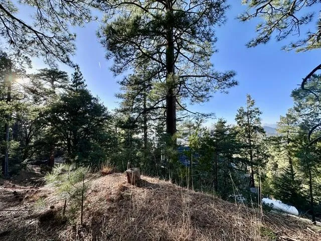 image4