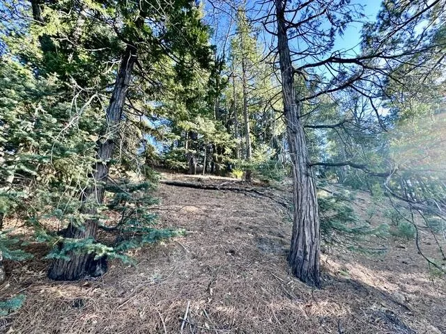 image5