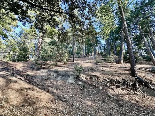 image6