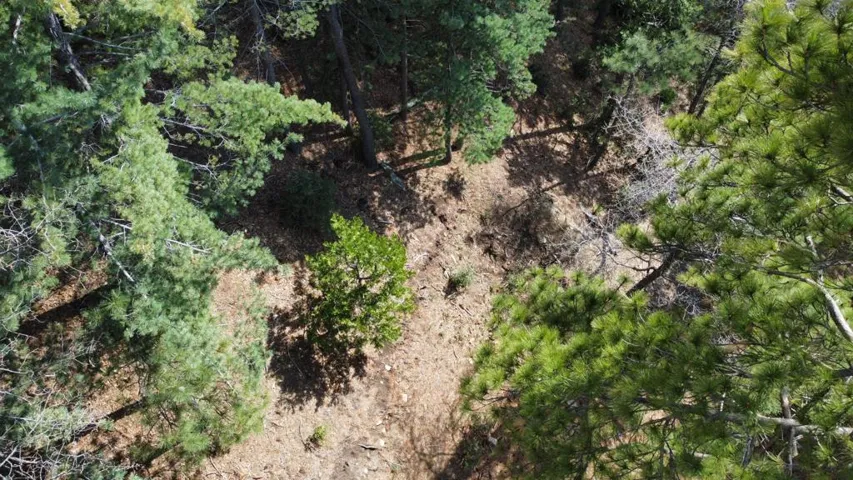 dji_fly_20250507_161722_7_1746660945996_