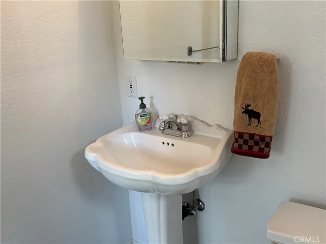 Downstairs Bathroom 1