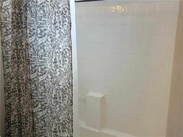 Downstairs Bathroom 1