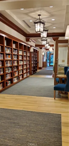 Library and Movies